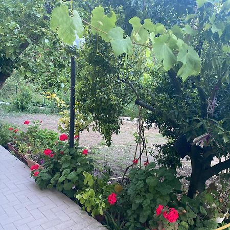 Proprieta Intero Allogio Con Parcheggio Villa Sestri Levante Exteriör bild