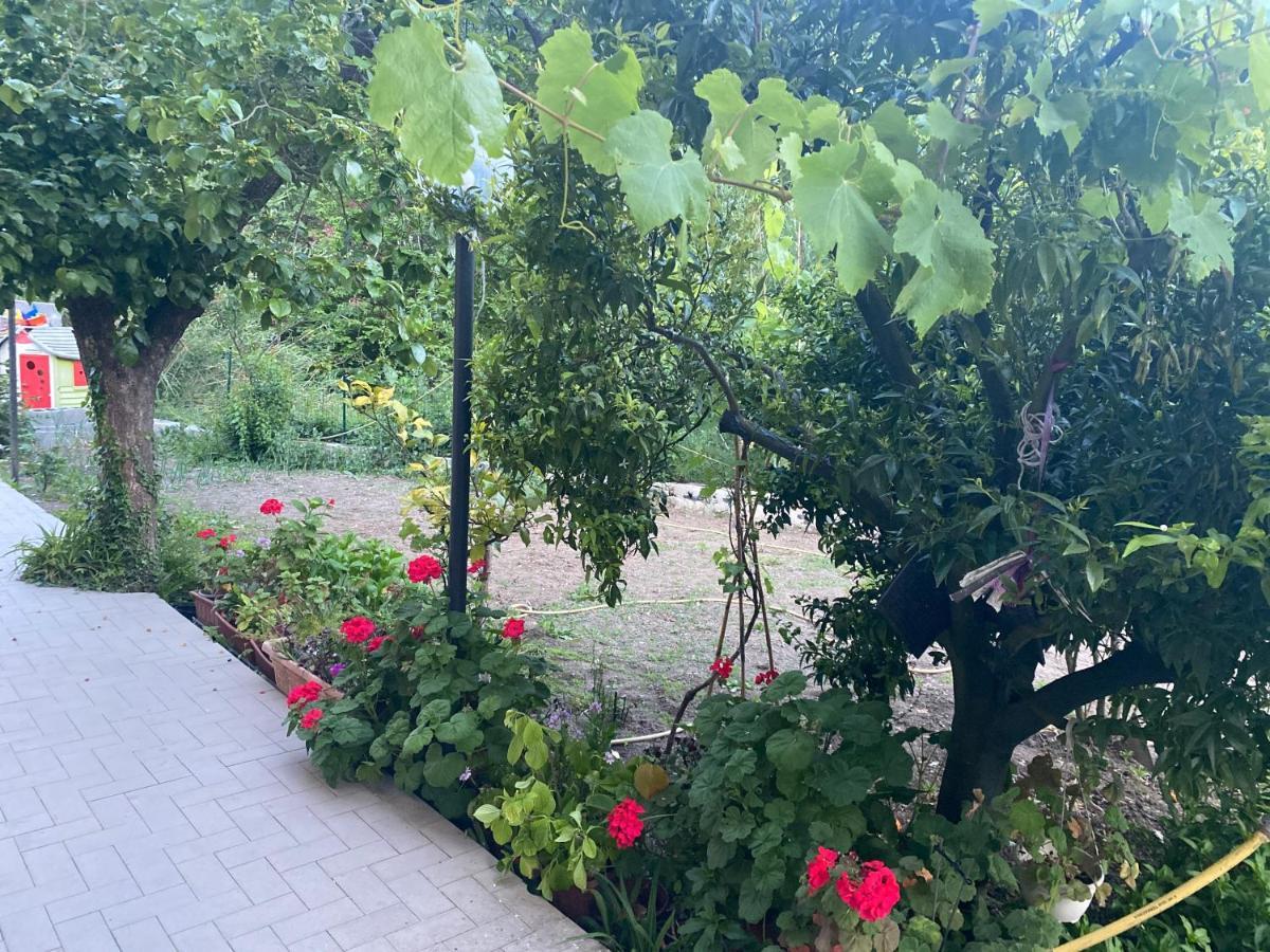 Proprieta Intero Allogio Con Parcheggio Villa Sestri Levante Exteriör bild